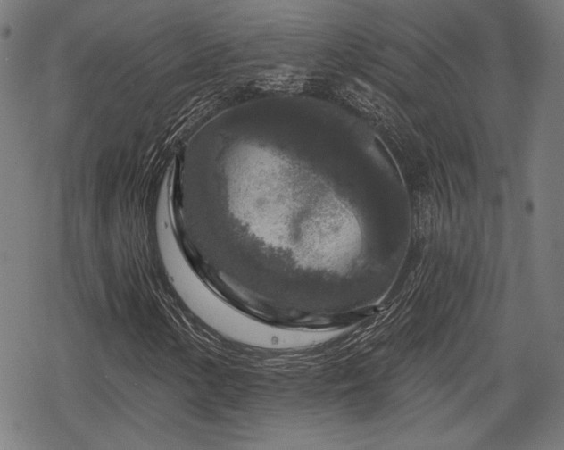 X0000068891154200605081312