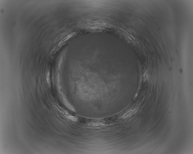 X0000068891156200605081312