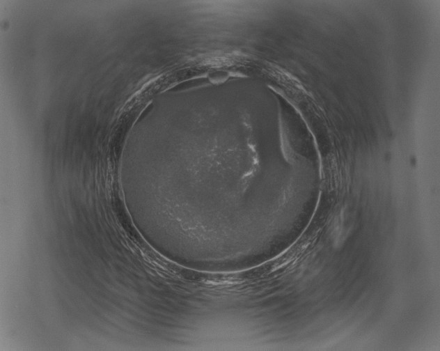 X0000068891158200605081312