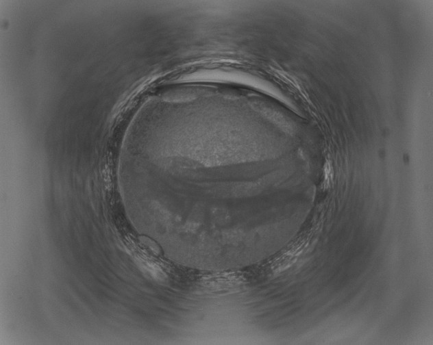 X0000068891159200605081312