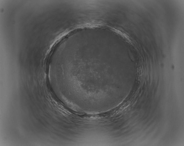 X0000068891160200605081312