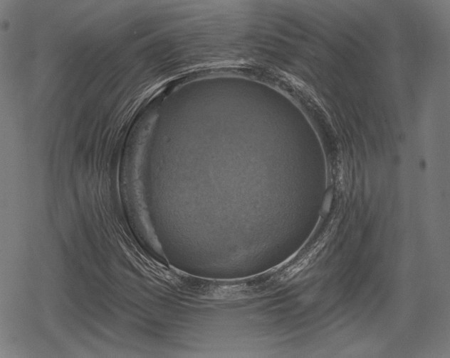 X0000068891161200605081312