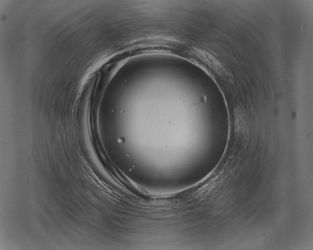 X0000068891164200605081312