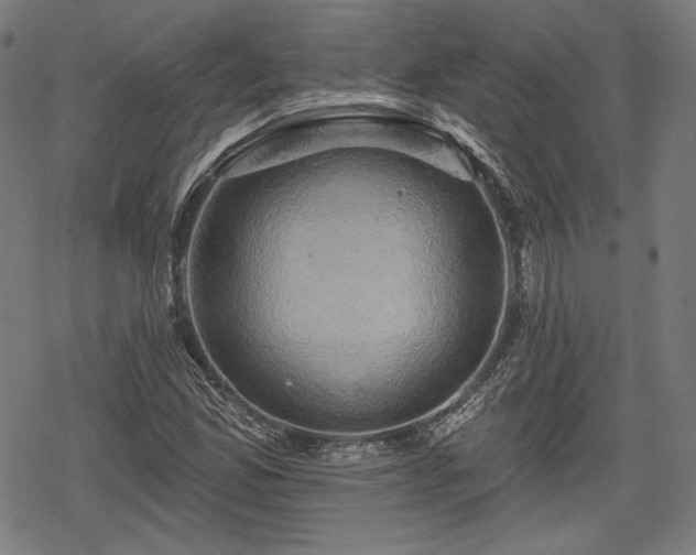 X0000068891165200605081312