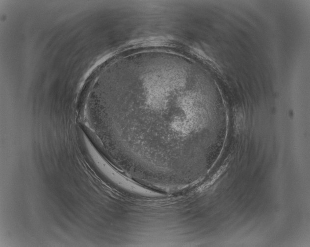 X0000068891166200605081312