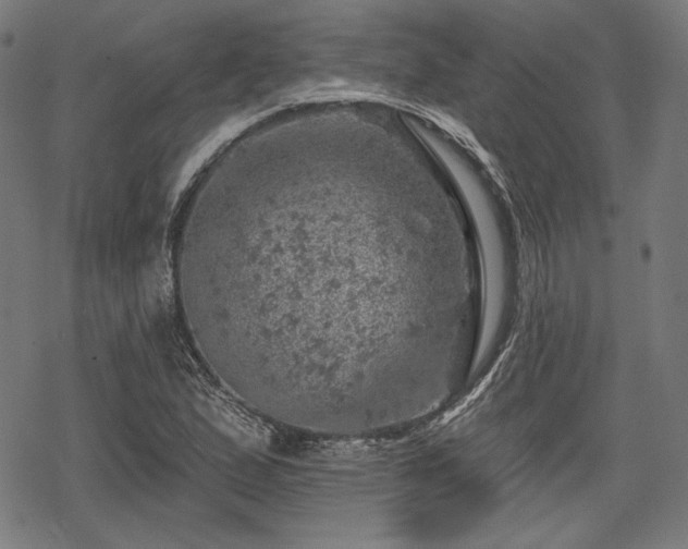 X0000068891167200605081312