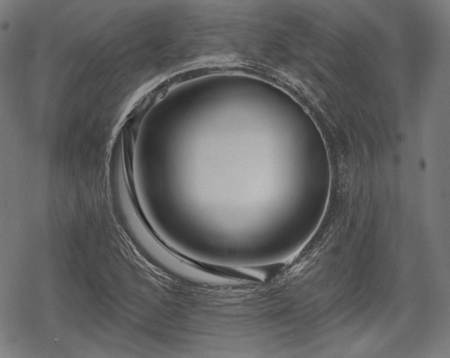 X0000068891168200605081312