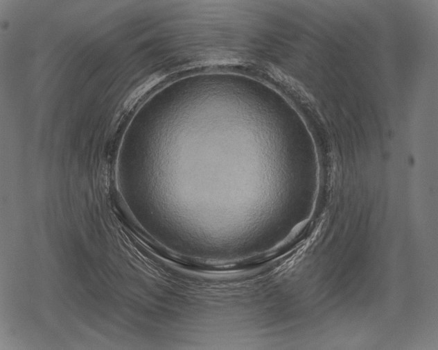 X0000068891169200605081312