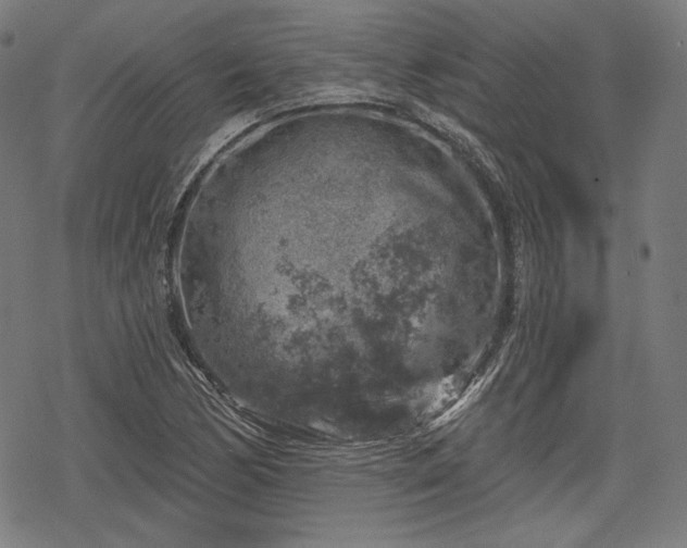 X0000068891170200605081312