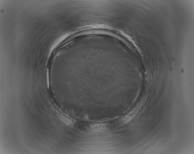 X0000068891171200605081312