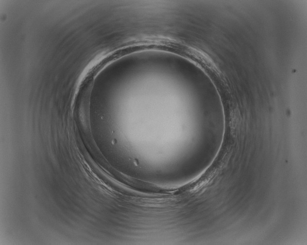 X0000068891172200605081312