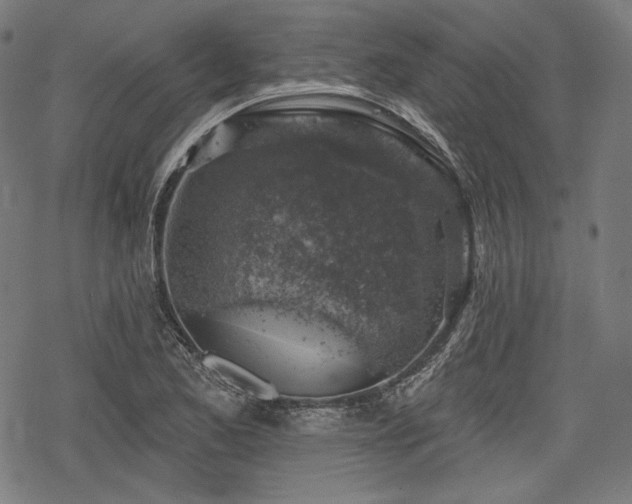 X0000068891173200605081312