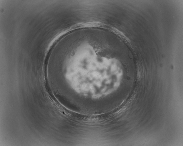 X0000068891174200605081312