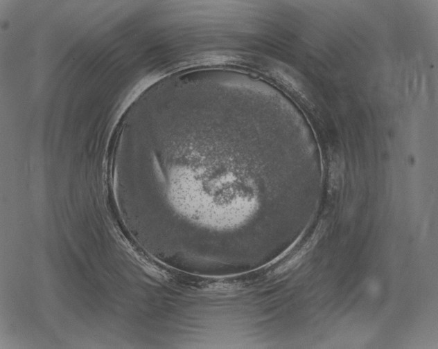 X0000068891178200605081312