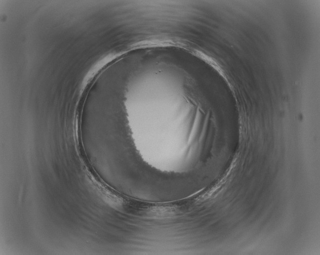 X0000068891179200605081312