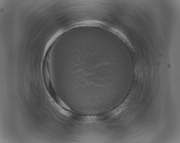 X0000068891180200605081312