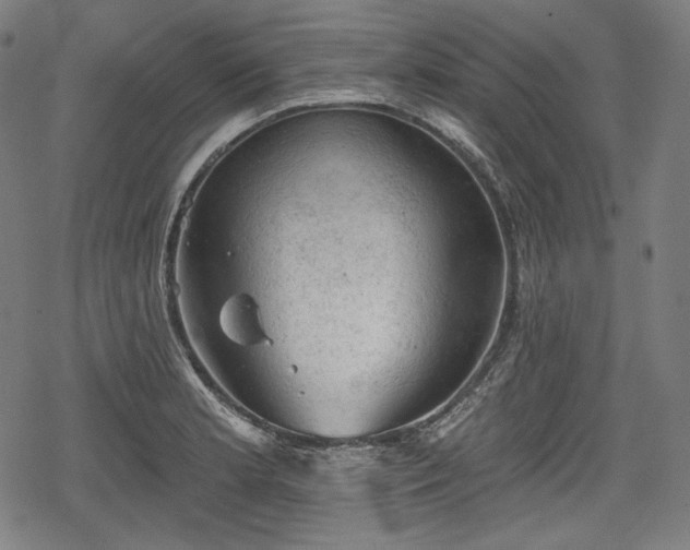 X0000068891181200605081312