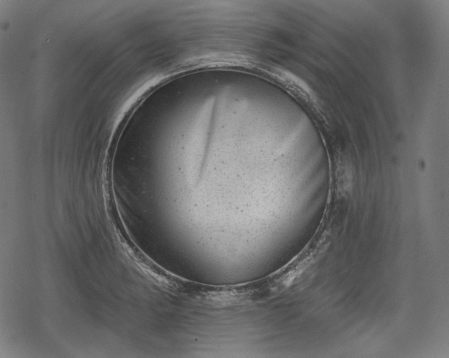 X0000068891182200605081312