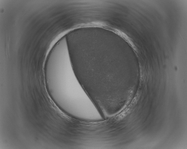 X0000068891184200605081312