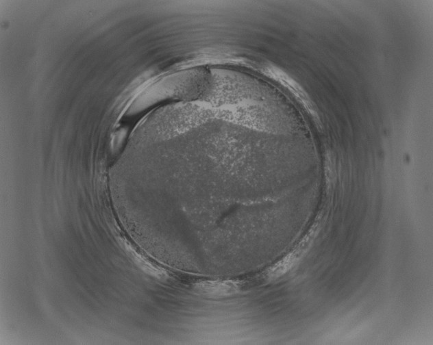 X0000068891185200605081312