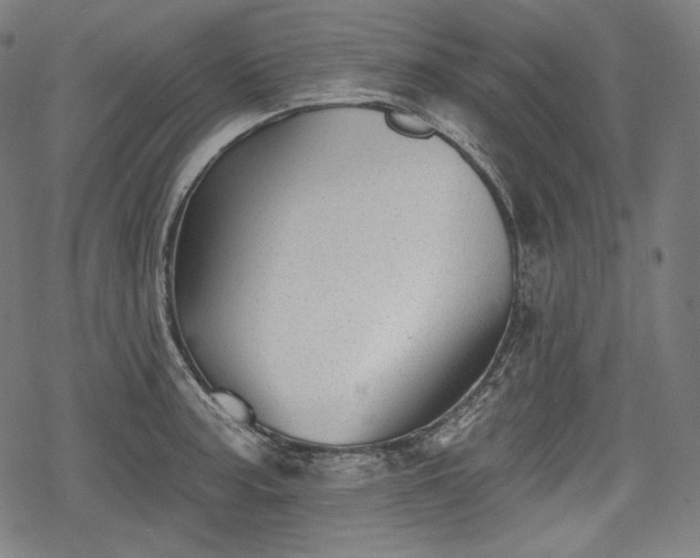 X0000068891187200605081312