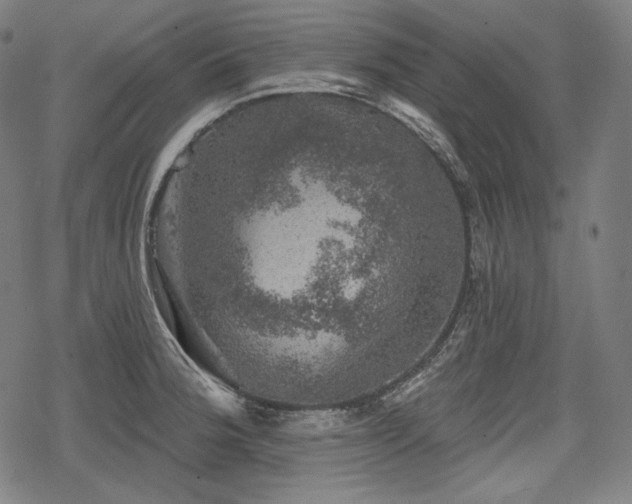 X0000068891188200605081312