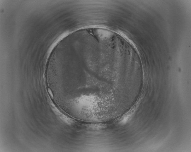 X0000068891189200605081312