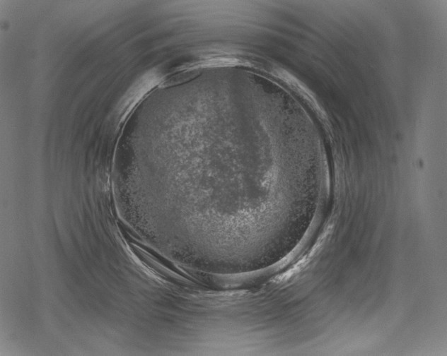 X0000068891193200605081312