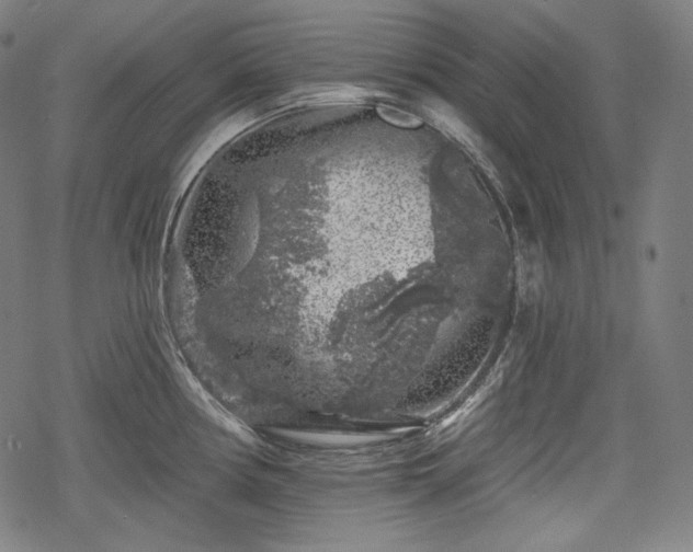 X0000068891194200605081312