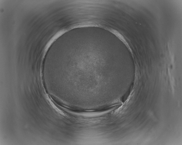 X0000068891197200605081312