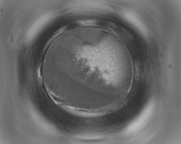 X0000068891198200605081312