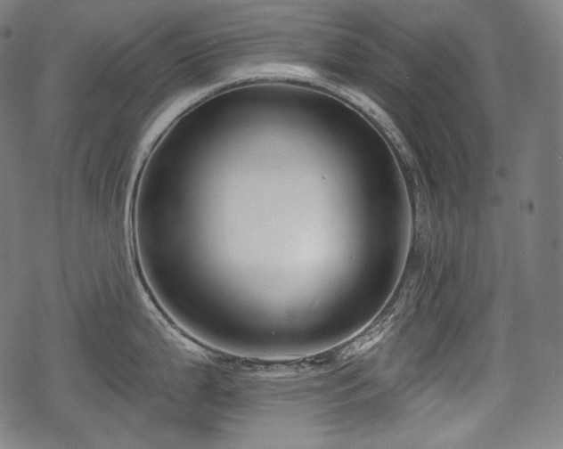 X0000068891199200605081312