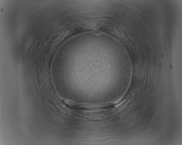 X0000068891201200605081311