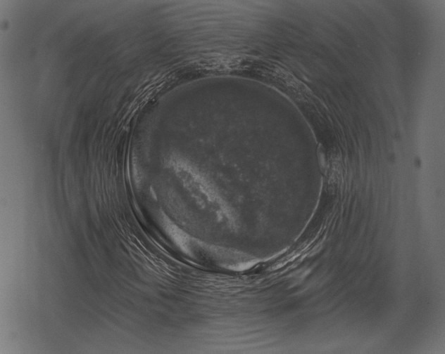 X0000068891202200605081311