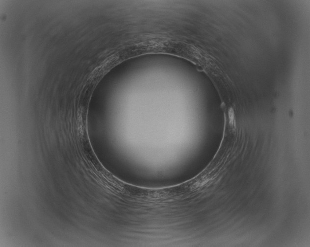 X0000068891203200605081311