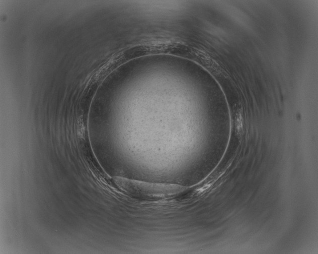 X0000068891204200605081311