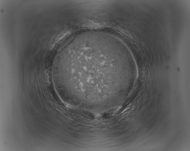 X0000068891205200605081311