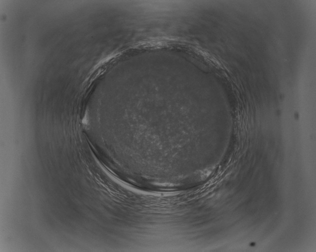 X0000068891206200605081311