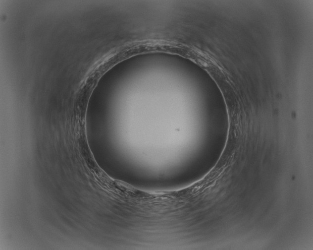 X0000068891207200605081311