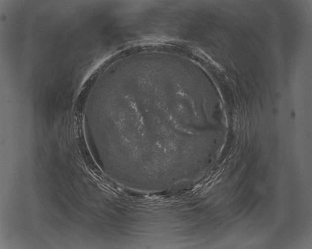 X0000068891208200605081311