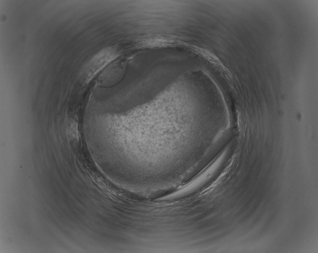 X0000068891209200605081311