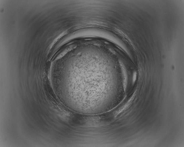 X0000068891210200605081311