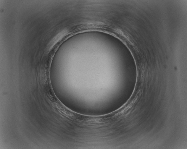 X0000068891211200605081311