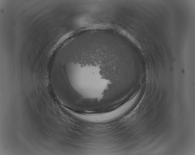 X0000068891213200605081311