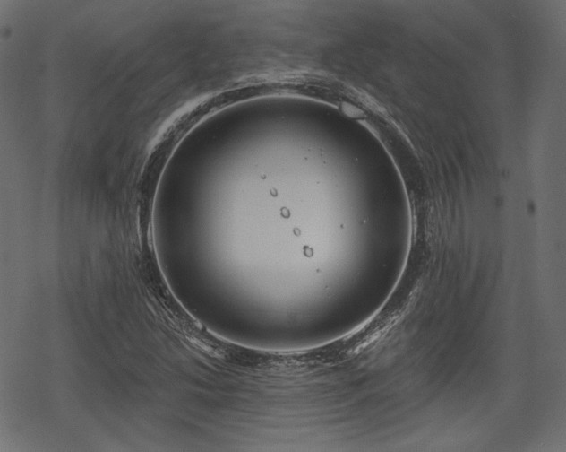 X0000068891214200605081311