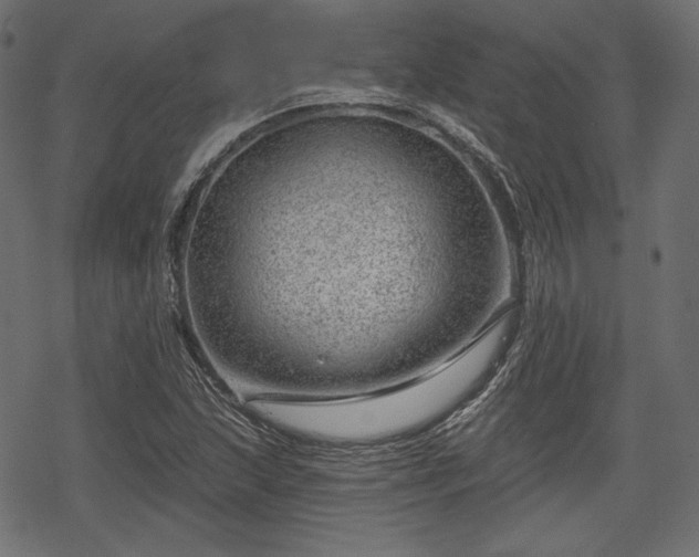 X0000068891215200605081311