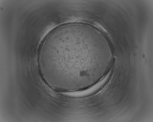 X0000068891216200605081311