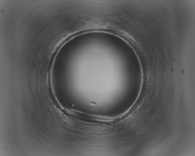 X0000068891220200605081311