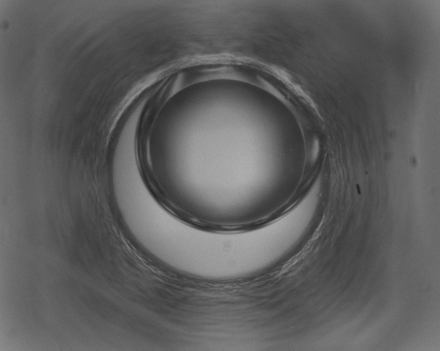 X0000068891221200605081311