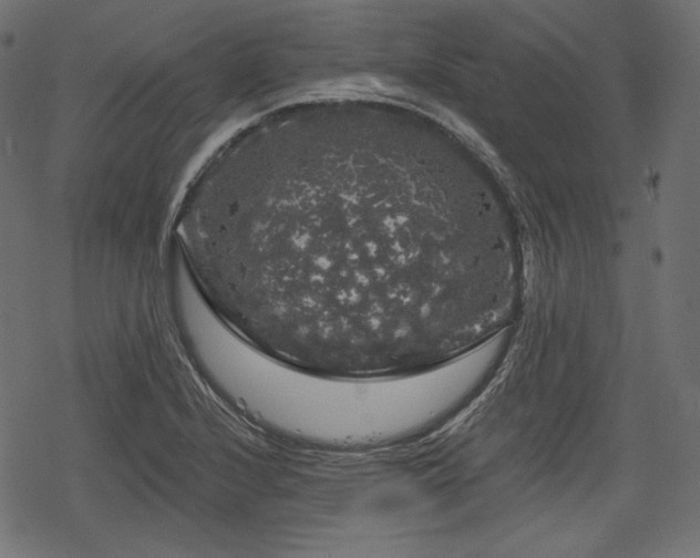 X0000068891224200605081311